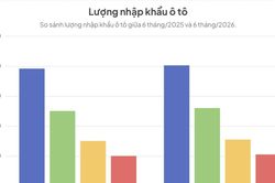 Ô tô nhập khẩu bứt phá mạnh mẽ, thị trường Việt Nam kỳ vọng lập kỷ lục mới trong năm 2026