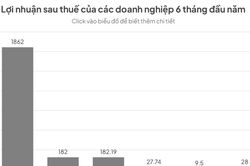 Lợi nhuận ng&agrave;nh bảo hiểm ph&acirc;n h&oacute;a mạnh, doanh nghiệp nhiều tiền gửi chiếm ưu thế