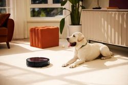 7 tiêu chí 'xương máu' khi chọn máy hút bụi chống rối tóc và lông động vật
