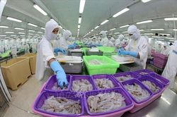 Xuất khẩu thủy sản đối mặt 'b&atilde;o' logistics