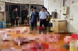 Hưng Yên phát hiện gần 1 tấn thịt lợn nghi nhiễm dịch tả lợn châu Phi