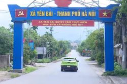 Hơn 3.800 thửa đất đã được làm sạch tại xã Yên Bài