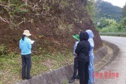 Khảo sát phục vụ khoanh vùng bảo vệ di sản Công viên địa chất Non nước Cao Bằng