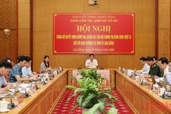 Bộ Chính trị công bố quyết định kiểm tra, giám sát đối với Ban Thường vụ Tỉnh ủy Cao Bằng và Tuyên Quang