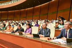 Trình Quốc hội cơ chế đặc thù xử lý vi phạm liên quan kinh tế Nhà nước, kinh tế tư nhân