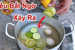 Lợi ích tuyệt vời của việc cho vài lát chanh tươi vào nồi luộc trứng