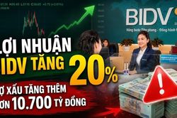 Lợi nhuận BIDV tăng 20% nhưng nợ xấu tăng thêm hơn 10.700 tỷ đồng