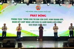 Nông dân Tp. Huế thi đua làm giàu, góp sức xây dựng nông thôn mới