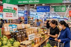 Gia Lai triển khai Chiến lược ph&aacute;t triển thị trường b&aacute;n lẻ đến năm 2030, tầm nh&igrave;n 2050