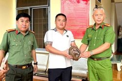 Đồng Nai: Tiếp nhận cá thể tê tê Java quý hiếm do người dân giao nộp