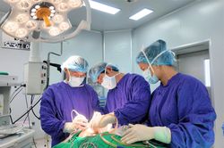 Vinmec Nha Trang phẫu thuật ung thư nội soi tuyến giáp qua đường tiền đình miệng