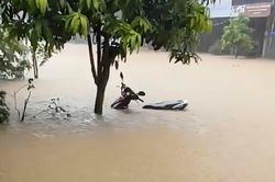 Mưa lớn gây ngập úng nhiều khu vực ở Lào Cai
