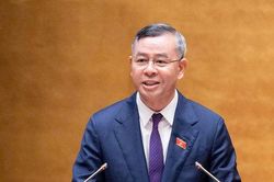 Tăng cường quản lý thương mại điện tử khi sửa đổi Luật Hải quan