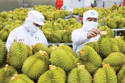 Tiếp đ&agrave; tăng trưởng xuất khẩu n&ocirc;ng sản