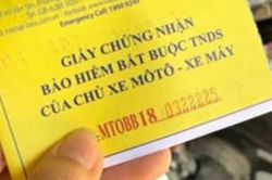 Đi xe máy điện có bắt buộc phải mua bảo hiểm xe máy?