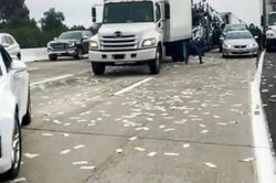 Phát hiện 5,2 tỷ đồng tiền mặt rơi vãi trên đường cao tốc, cơ quan chức năng nói gì về việc thu hồi?