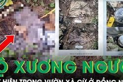 Phát hiện bộ xương người trong vườn xà cừ ở Đồng Nai, hé lộ chi tiết nhận dạng đặc biệt