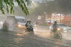 3 khu vực dự báo mưa rất to trong ngày và đêm 3/8