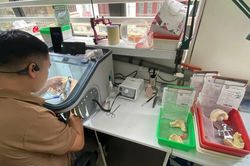 Hà Nội kiểm tra loạt cơ sở sản xuất, kinh doanh răng giả, xử phạt vi phạm hơn 1,3 tỷ đồng