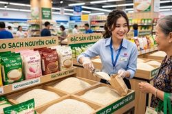 Giá lúa gạo hôm nay 4.8.2026: Gạo nguyên liệu tiếp tục neo cao