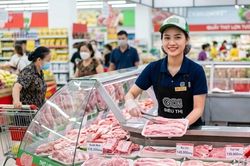 Giá heo hơi hôm nay 4.8: Miền Trung và miền Nam đi ngang
