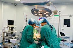 Sơn La:Kịp thời cứu sống bệnh nhân 29 tuổi bị vết thương thấu bụng nguy kịch