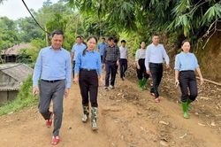 L&atilde;nh đạo tỉnh Sơn La kiểm tra hiện trường sạt lở sau vụ lũ cuốn 3 ch&aacute;u nhỏ