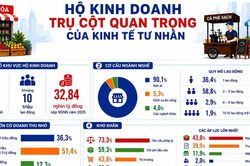 [Infographic] Hộ kinh doanh - Trụ cột quan trọng của kinh tế tư nhân