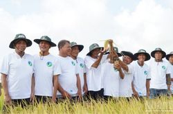 Từ m&ocirc; h&igrave;nh th&iacute; điểm đến v&ugrave;ng nguy&ecirc;n liệu sản xuất l&uacute;a chất lượng cao, ph&aacute;t thải thấp