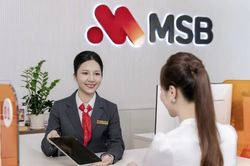 S&aacute;u th&aacute;ng, tổng t&agrave;i sản MSB tăng gần 30%