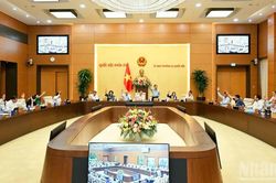 Thống nhất trình Quốc hội xem xét, thông qua việc thành lập thành phố Quảng Ninh, thành phố Bắc Ninh