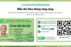Người dân Thành phố Hồ Chí Minh làm Thẻ giao thông công cộng cần thủ tục gì?