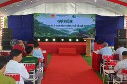 Đưa 10 cá thể Gà lôi lam mào trắng trở về Quảng Trị