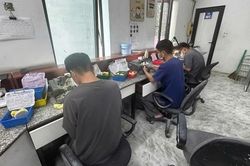 Phát hiện nhiều vi phạm trong sản xuất, kinh doanh răng giả trên địa bàn Hà Nội