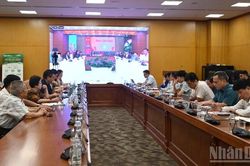 Đơn giản h&oacute;a thủ tục cấp m&atilde; số v&ugrave;ng trồng, cơ sở đ&oacute;ng g&oacute;i theo hướng số h&oacute;a to&agrave;n tr&igrave;nh