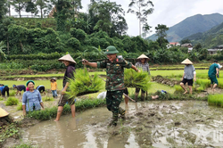 Tô thắm hình ảnh Bộ đội Cụ Hồ trong lòng dân Đông Ngũ