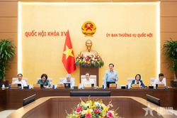 Thống nhất trình Quốc hội xem xét việc thành lập thành phố Quảng Ninh và thành phố Bắc Ninh