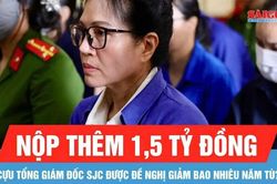 Cựu Tổng Giám đốc SJC Lê Thúy Hằng tiếp tục được đề nghị giảm án