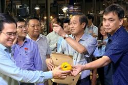 Thường trực HĐND TPHCM khảo sát ATTP tại chợ đầu mối Bình Điền