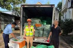 Phát hiện xe tải chở 1,7 tấn tràng lợn, lườn ngỗng bốc mùi