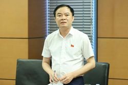 ĐBQH Lê Ngọc Sơn: Cần phân định rõ nhiệm vụ chính trị và hoạt động sản xuất kinh doanh của Petrovietnam