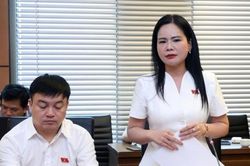 ĐBQH Nguyễn Thị Bình: Hoàn thiện khung pháp lý để mở đường phát triển năng lượng ngoài khơi