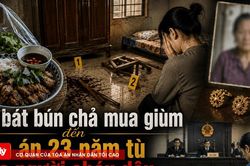 Từ bát bún chả mua giùm đến bản án 23 năm tù của người cháu dâu