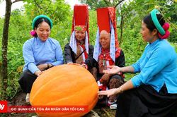 Độc đáo mô hình bí ngô khổng lồ nơi vùng biên Hoành Mô