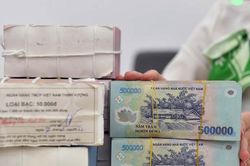 Ồ ạt bắt đáy, cổ phiếu trụ cột tăng vọt: Chứng khoán đang vào nhịp hồi mới