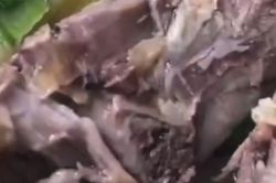 Vụ dòi bò lúc nhúc trong bữa tiệc tân gia: Xử phạt chủ nhà hàng 27 triệu đồng