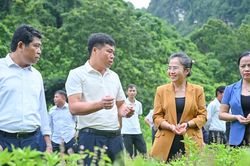 Phó Bí thư Tỉnh ủy Võ Thị Minh Sinh: Xây dựng Quỳ Hợp thành trung tâm dược liệu của Nghệ An