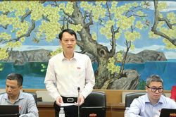 Đại biểu Quốc hội đoàn Nghệ An đề xuất hoàn thiện cơ chế bảo vệ người dám nghĩ, dám làm vì lợi ích chung