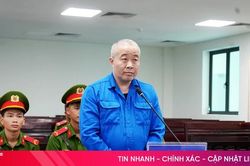 Lĩnh án chung thân khi vận chuyển hơn 7,3kg ma túy