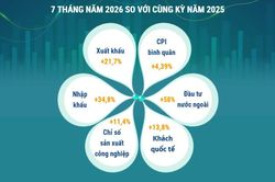 Kinh tế Việt Nam 7 tháng năm 2026 có nhiều tín hiệu tích cực